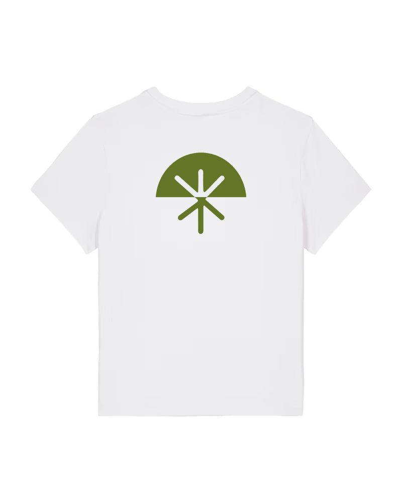 CLASSIC CLUB PISTACCHIO